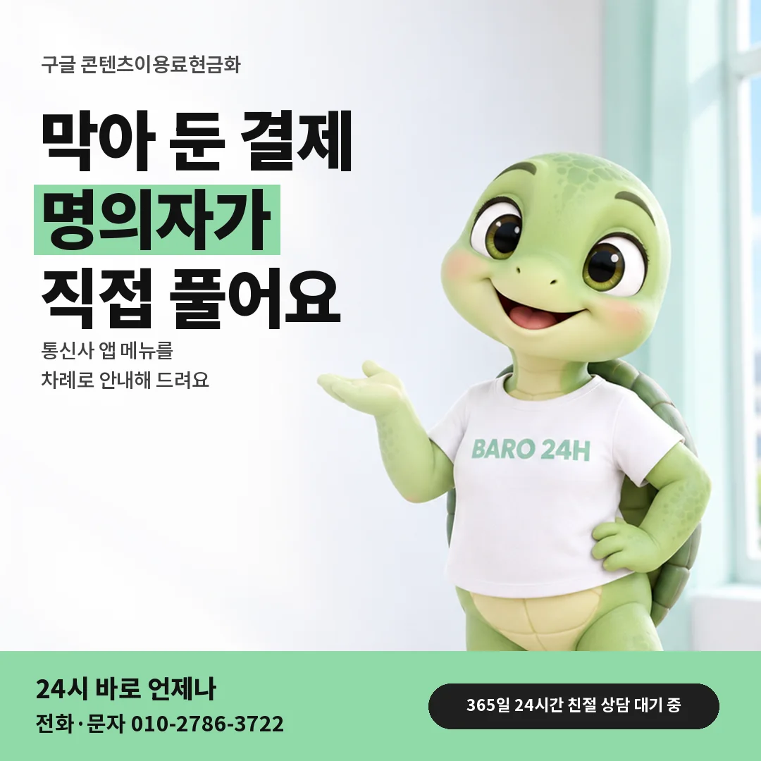 휴대폰을 보며 웃는 BARO 24H 티셔츠를 입은 3D 거북이 캐릭터 옆에 「구글 결제 차단 풀기」 제목을 얹은 안내 카드