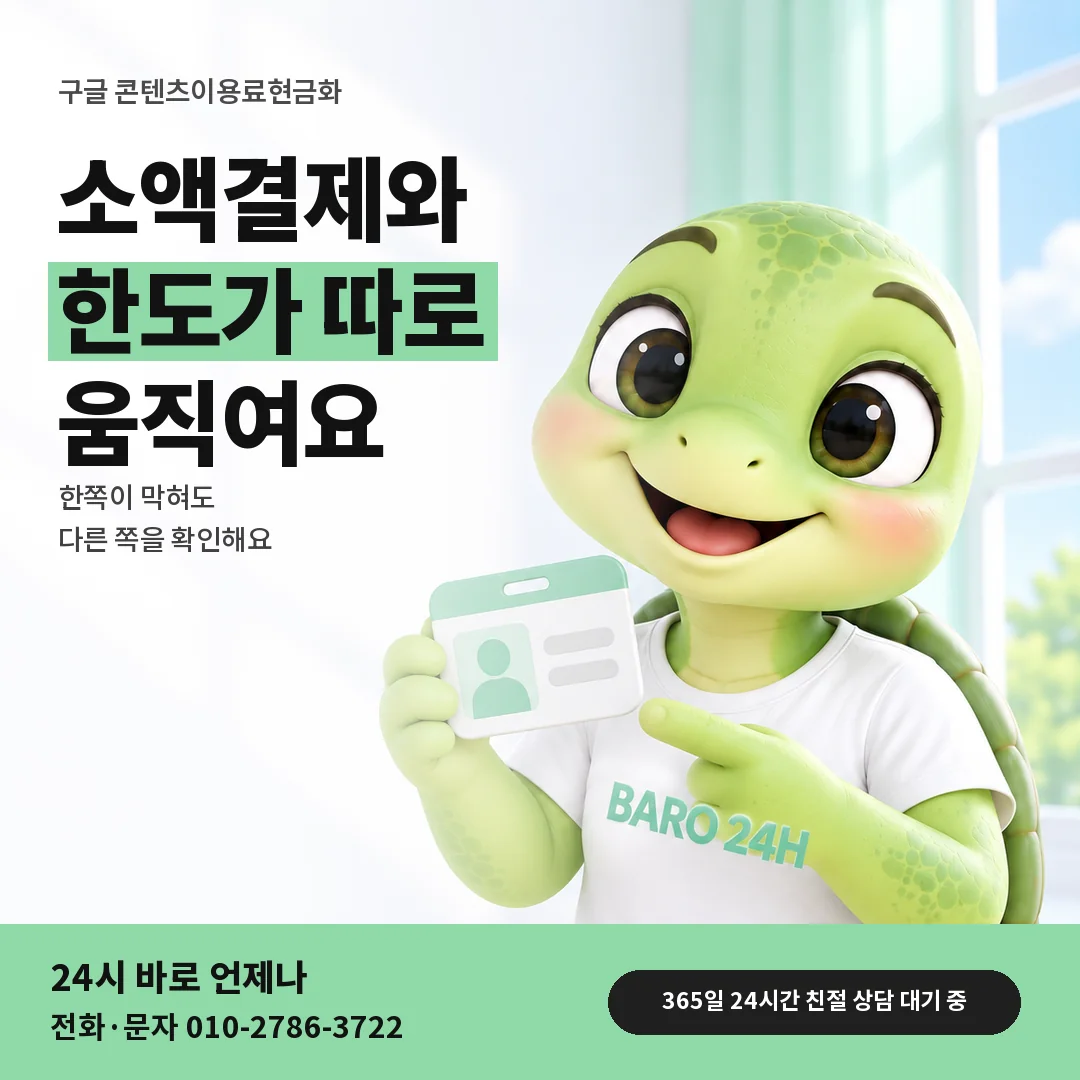 신분증을 든 BARO 24H 티셔츠를 입은 3D 거북이 캐릭터 옆에 「구글 콘텐츠이용료 한도는 따로」 제목을 얹은 안내 카드